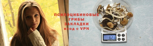 сатива Инта