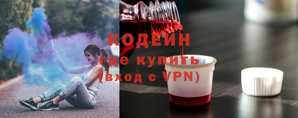 сатива Инта
