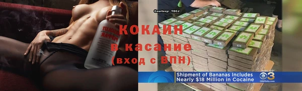 сатива Инта