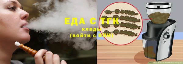 сатива Инта