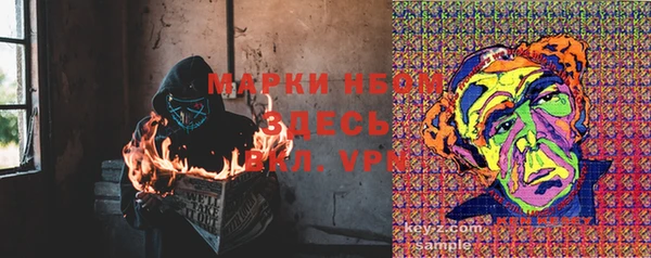 молекула духа Иннополис