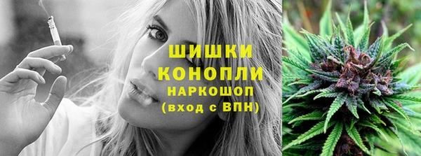 сатива Инта