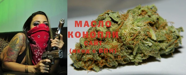 сатива Инта