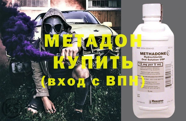 сатива Инта