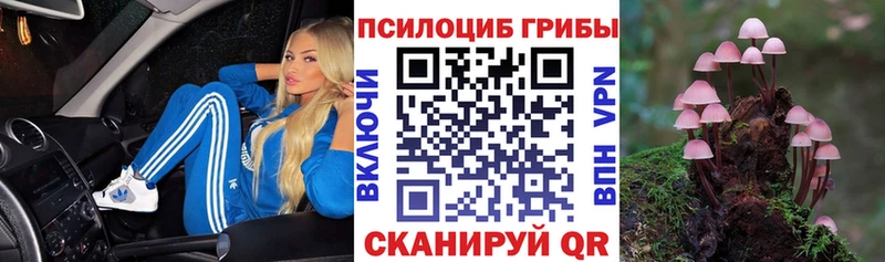 что такое   Зерноград  гидра как зайти  Псилоцибиновые грибы GOLDEN TEACHER 